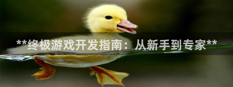 沐鸣娱乐2登陆不上怎么办