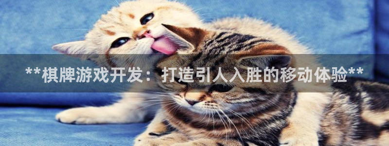 沐鸣2开户地址