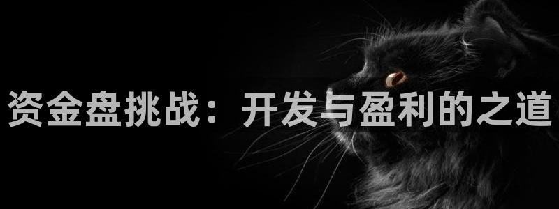 沐鸣娱乐2官网网址是什么：资金盘挑战：开发与盈利的之道