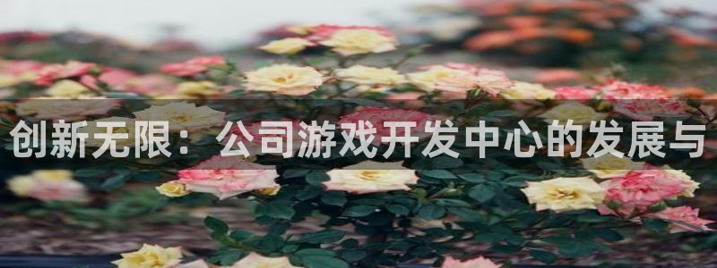 沐鸣娱乐2登录平台官网入口：创新无限：公司游戏开发中心的发展与