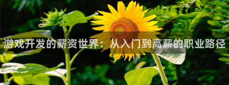 沐鸣娱乐2官方平台是什么：游戏开发的薪资世界：从入门到高薪的职业路径