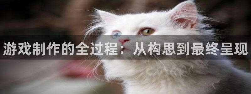 沐鸣2登录测试：游戏制作的全过程：从构思到最终呈现