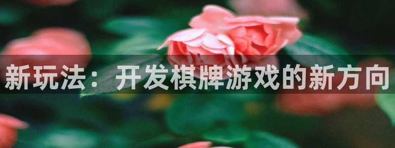 沐鸣2测速登录：新玩法：开发棋牌游戏的新方向