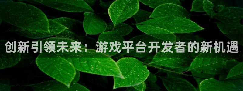 沐鸣娱乐2登录平台官网下载：创新引领未来：游戏平台开发者的新机遇