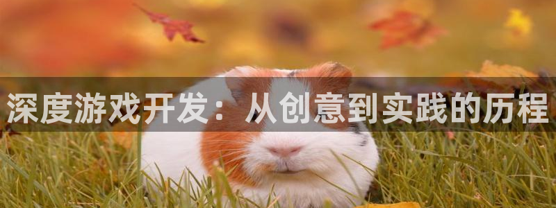 沐鸣2注册平台：深度游戏开发：从创意到实践的历程
