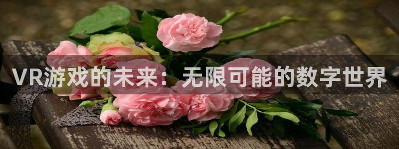 沐鸣娱乐2下载：VR游戏的未来：无限可能的数字世界