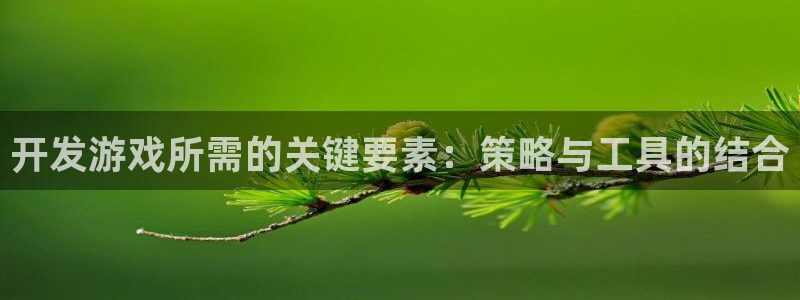 沐鸣2平台测速：开发游戏所需的关键要素：策略与工具的结合