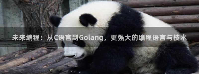 沐鸣2挂机注册：未来编程：从C语言到Golang，更强大的编程语言与技术