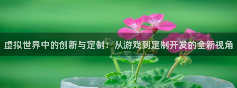 沐鸣2官网网址：虚拟世界中的创新与定制：从游戏到定制开发的全新视角
