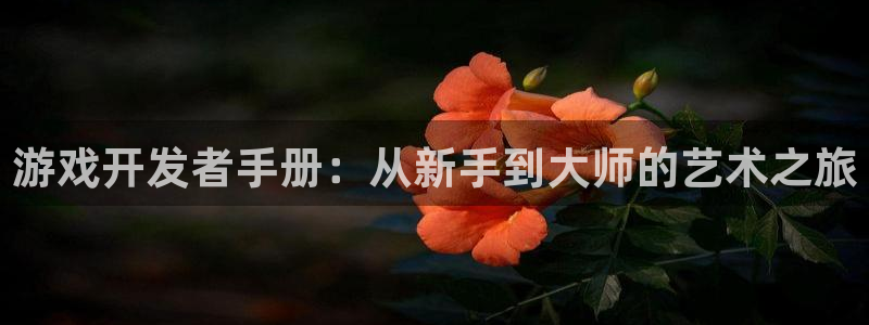 沐鸣2平台官网登录：游戏开发者手册：从新手到大师的艺术之旅