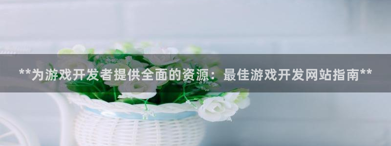 沐鸣2代理：**为游戏开发者提供全面的资源：最佳游戏开发网站指南**