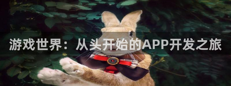 沐鸣娱乐2登录：游戏世界：从头开始的APP开发之旅