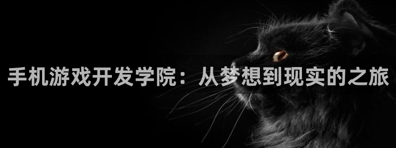 沐鸣2在线登录注册：手机游戏开发学院：从梦想到现实的之旅