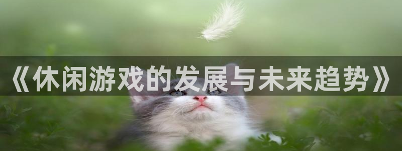 沐鸣娱乐2l怎么样：《休闲游戏的发展与未来趋势》