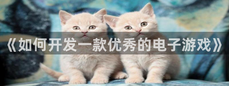 沐鸣2平台官网登录：《如何开发一款优秀的电子游戏》