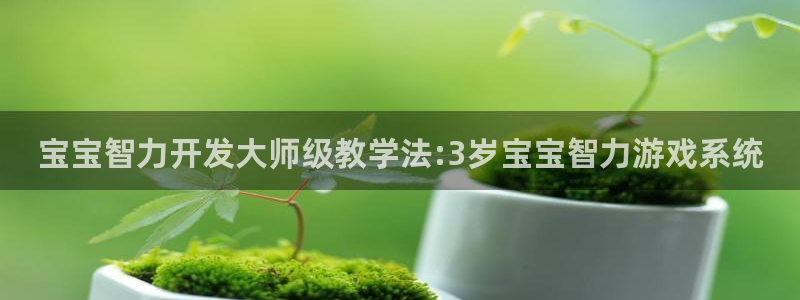 沐鸣娱乐2不能注册：宝宝智力开发大师级教学法:3岁宝宝智力游戏系统