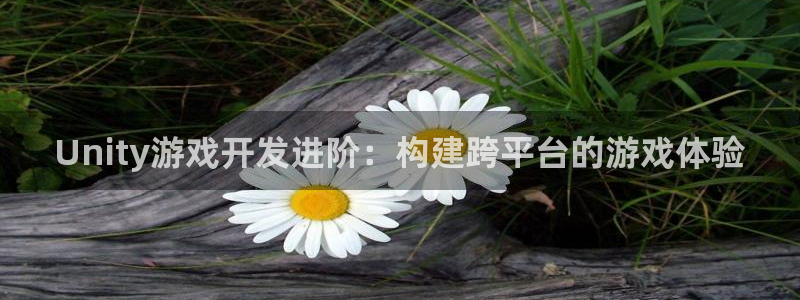 沐鸣娱乐2官方平台