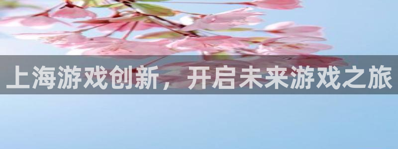 沐鸣娱乐2输钱了：上海游戏创新，开启未来游戏之旅