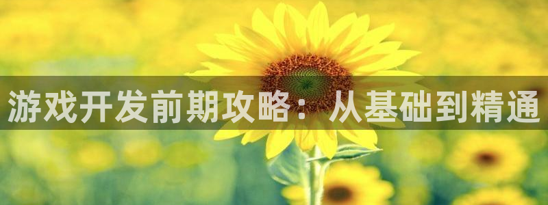 沐鸣2登录网址：游戏开发前期攻略：从基础到精通