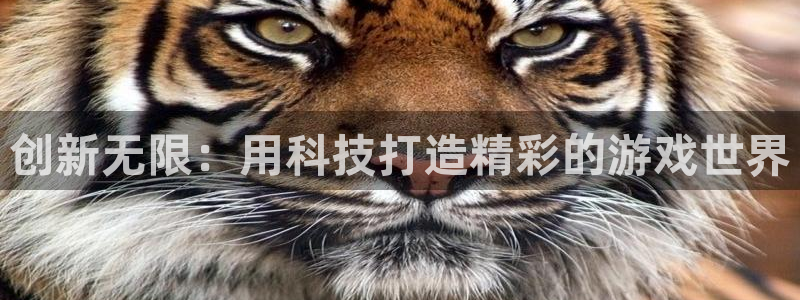 沐鸣娱乐2登录平台官网入口