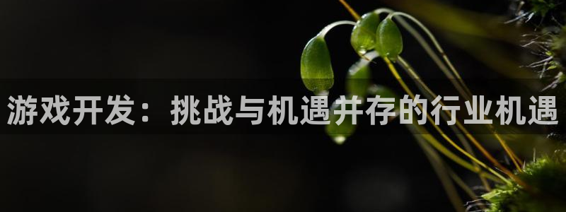 沐鸣娱乐2官方平台是什么