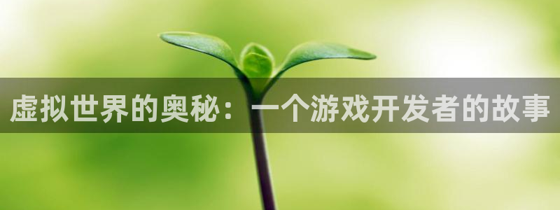 沐鸣娱乐2测速登陆：虚拟世界的奥秘：一个游戏开发者的故事