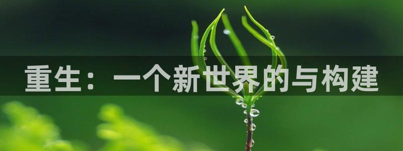 沐鸣娱乐2注册账号：重生：一个新世界的与构建