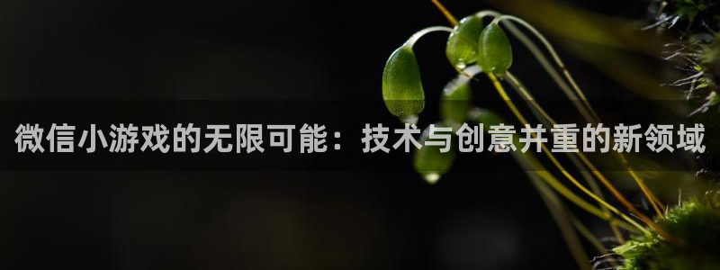 沐鸣2手机网页版：微信小游戏的无限可能：技术与创意并重的新领域