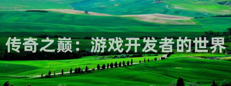 沐鸣娱乐2如何找回密码：传奇之巅：游戏开发者的世界