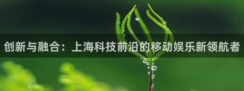 沐鸣2平台测速登录：创新与融合：上海科技前沿的移动娱乐新领航者